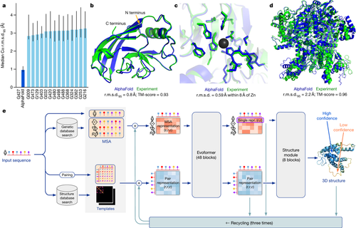 Figura original del artículo de AlphaFold en Nature (2021): estructura de proteína predicha por IA en azul superpuesta a la estructura real resuelta por cristalografía en verde, junto al gráfico de precisión en el concurso CASP14 y el esquema de la arquitectura del modelo neuronal