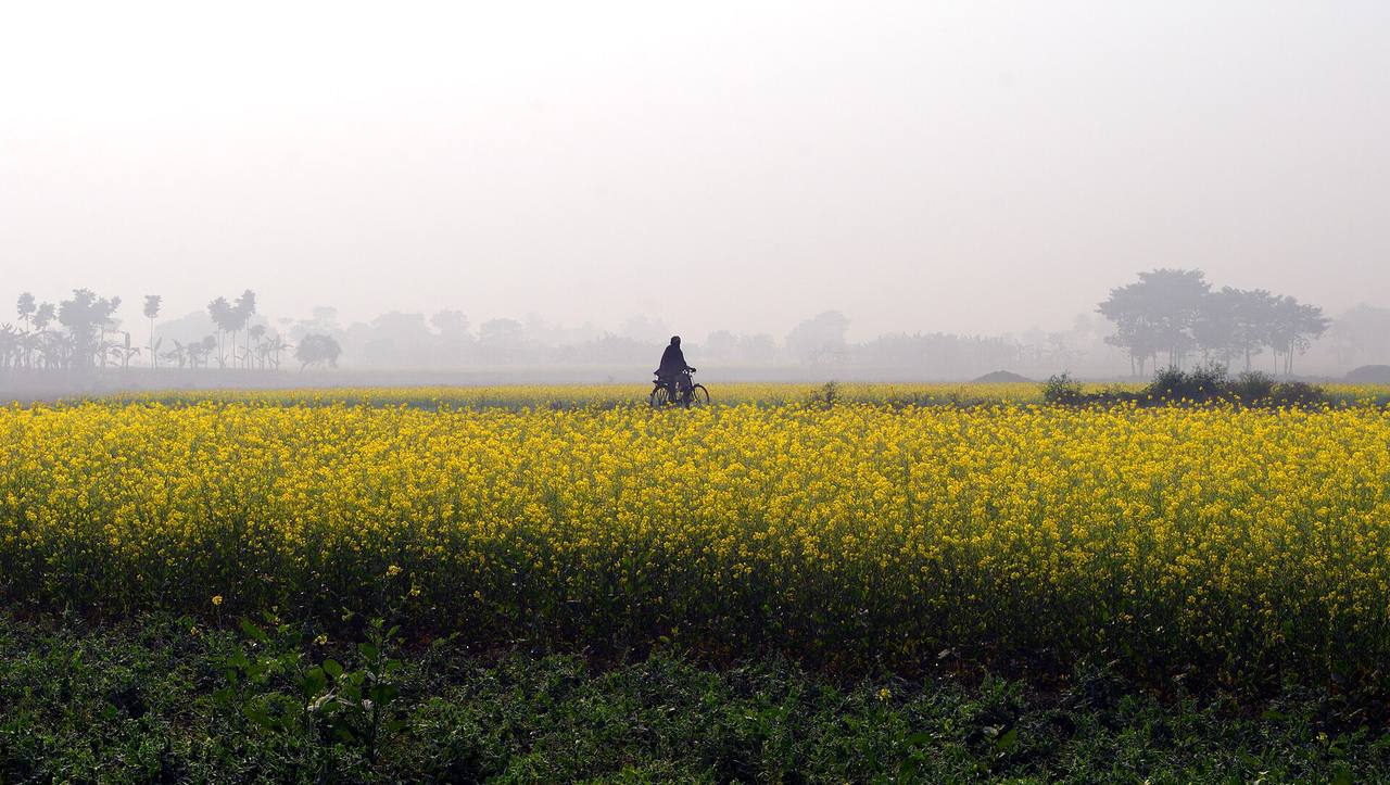 Vida rural y explotaciones agrícolas en la India
